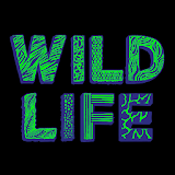 WILD LIFE Festival icon