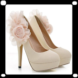 Beautiful High Heel Shoes icon
