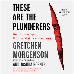 Icon image These are the Plunderers: How Private Equity Runs—and Wrecks—America
