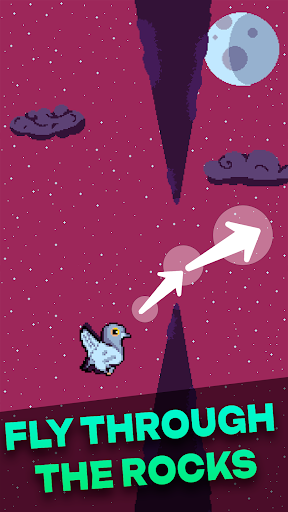Valera the Pigeon Screen 2