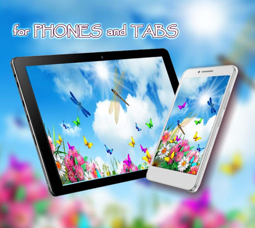 Dragonfly Live Wallpaper