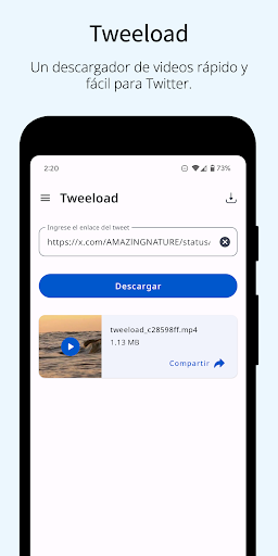 Vista previa de la aplicación