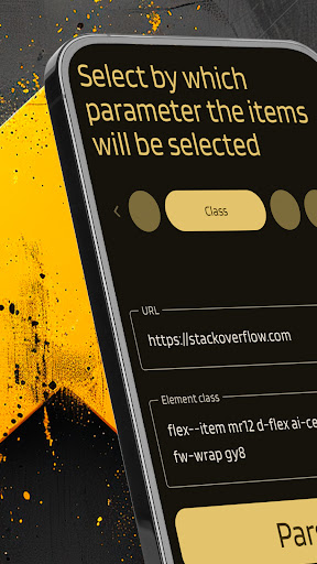 FlashPage parser_5