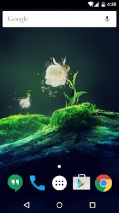 Cactus Flower Live Wallpaper Screenshot