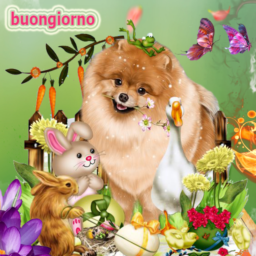 Buongiorno e Buona Notte immag logo