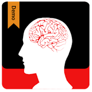 Brain Power Leitner Box Demo  Icon