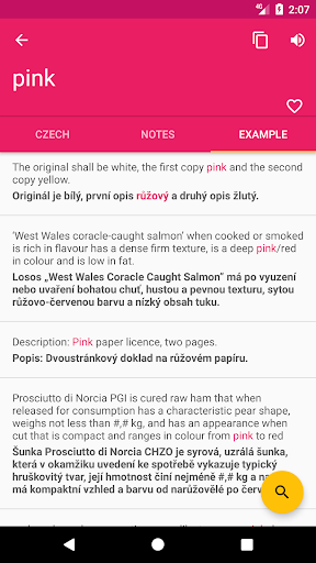 Czech English Dictionary Screen 3