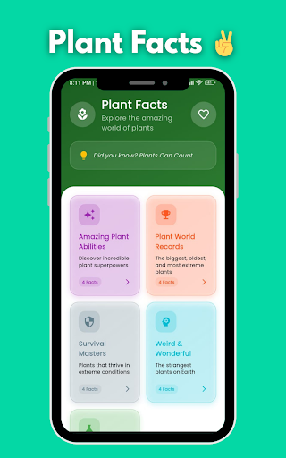 Plant Identifier Scan  Learn