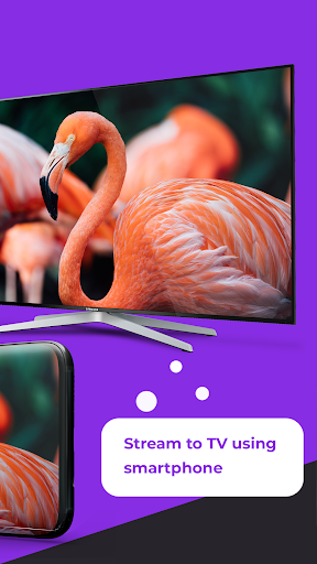 Remote For Roku TV - Roku Cast