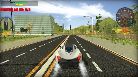 The Driver Theft Simulator