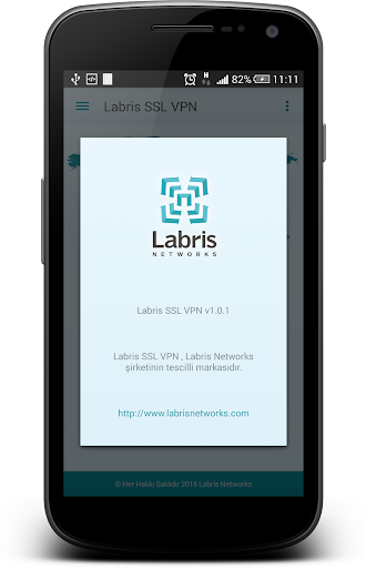 Labris SSL VPN Screen 2