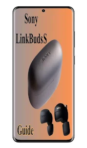 Sony LinkBuds S Guide