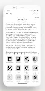 Immagine screenshot