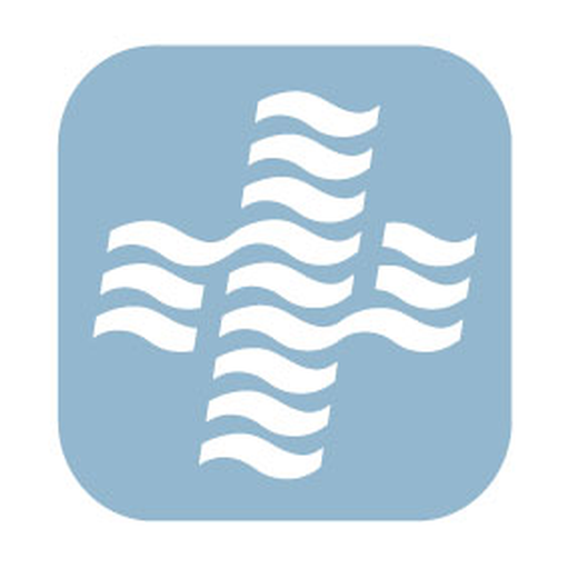 Formació SSIBE logo