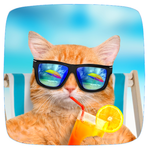 Funny Ringtones Apps on Google Play