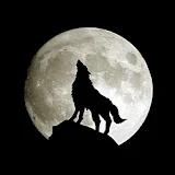 Wolf wallpaper icon