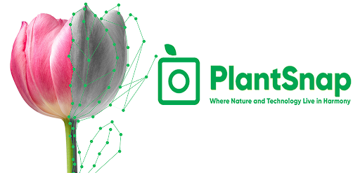 Plantsnap Free Plants Identifier And Succulent Apps On Google Play