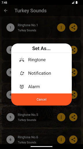 Turkey Ringtones Screen 3