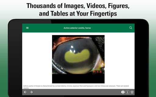 Screenshot of MSD Vet Manual