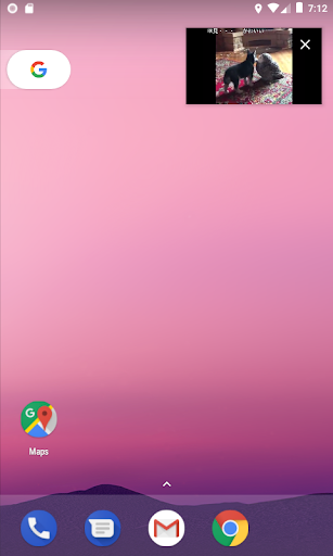 Video Saver Browser :iXplorer Screen 3