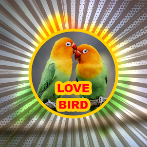 Koleksi Suara Burung Lovebird