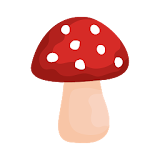 Shroomify - USA Mushroom ID icon