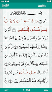 Al-Quran (Pro)