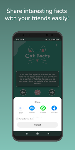 Cat Facts Screen 2