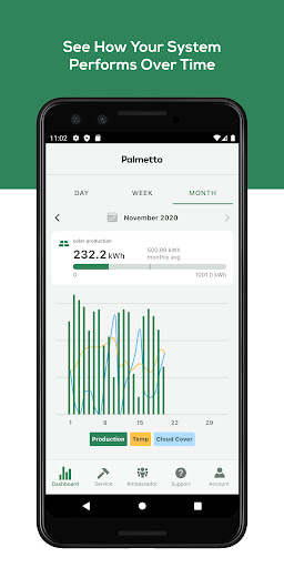 Palmetto Screen 2
