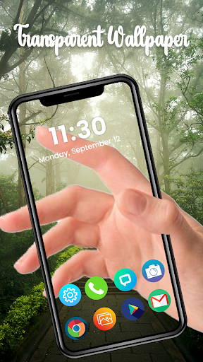 natural transparent wallpaper