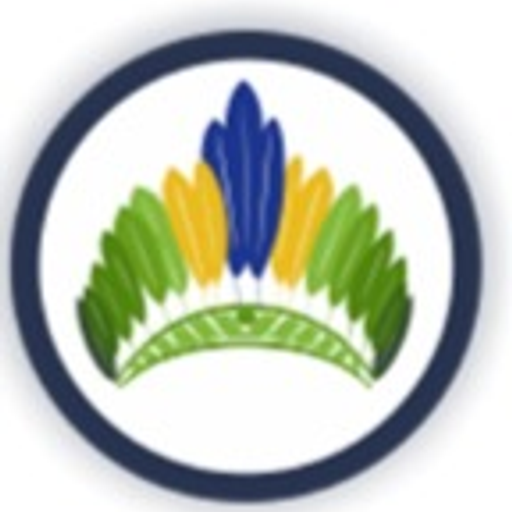 PAJE club logo