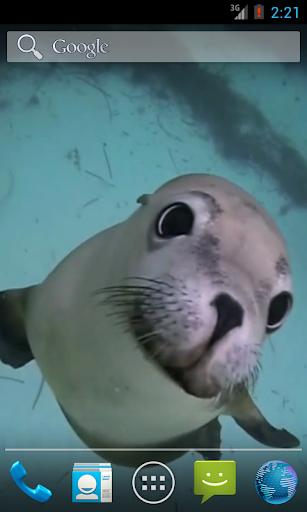 Sea Life HD Video Wallpapers G Screenshot 2 - AppWisp.com