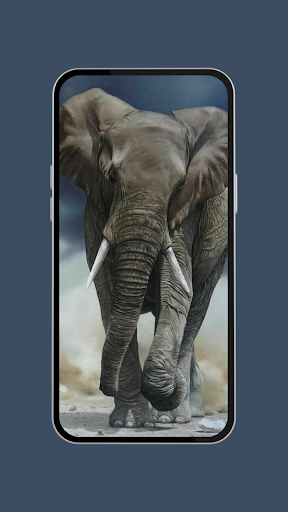 Elephant Wallpapers Screen 3
