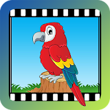 Video Touch - Birds icon