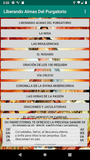 Vista previa de la aplicación