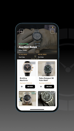 Watch Auctions Screen 3