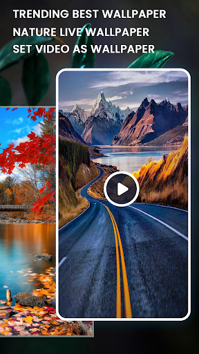 4K Wallpaper - Video Wallpaper