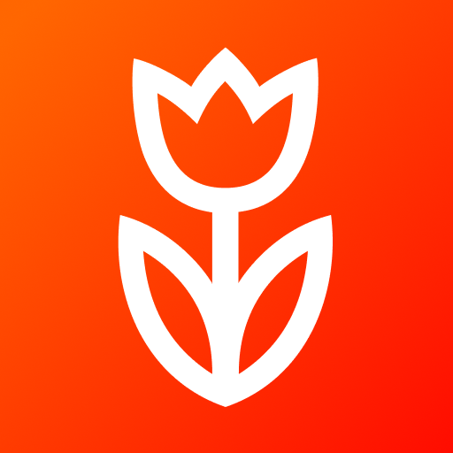 Flowwow: flowers, gifts, cakes logo