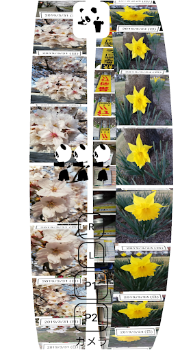 アマゾンスピーディー amazon speedy