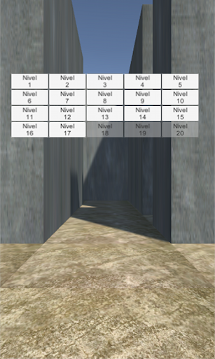 Vista previa de la aplicación