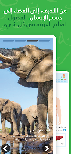 Amal Encyclopedia in Arabic Screen 3