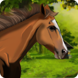 Horse Riding Adventure 2017-Horse Racing & Jumping icon