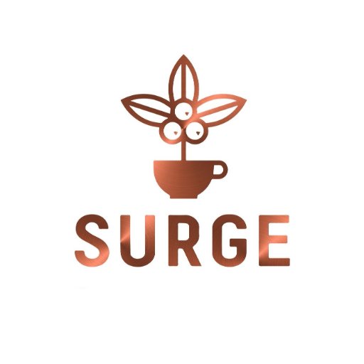 Surge logo