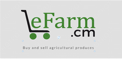 eFarm.cm