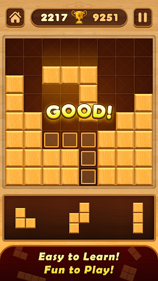 Wood Block Puzzle-Brain Puzzle - Screenshot 2