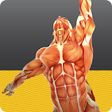 Muscle Tests 1 icon