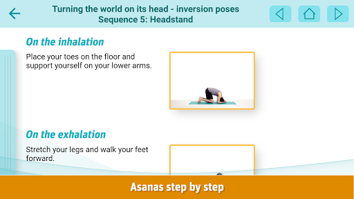 Yoga for Everyone Screen 2