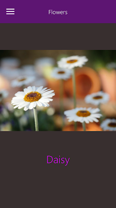 Quick Learn - Easy Way To Lear - Screenshot 4