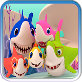 Video Baby Shark Songs icon