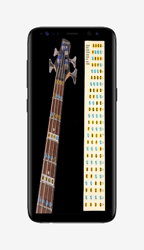 Learn Bass Guitar Notes